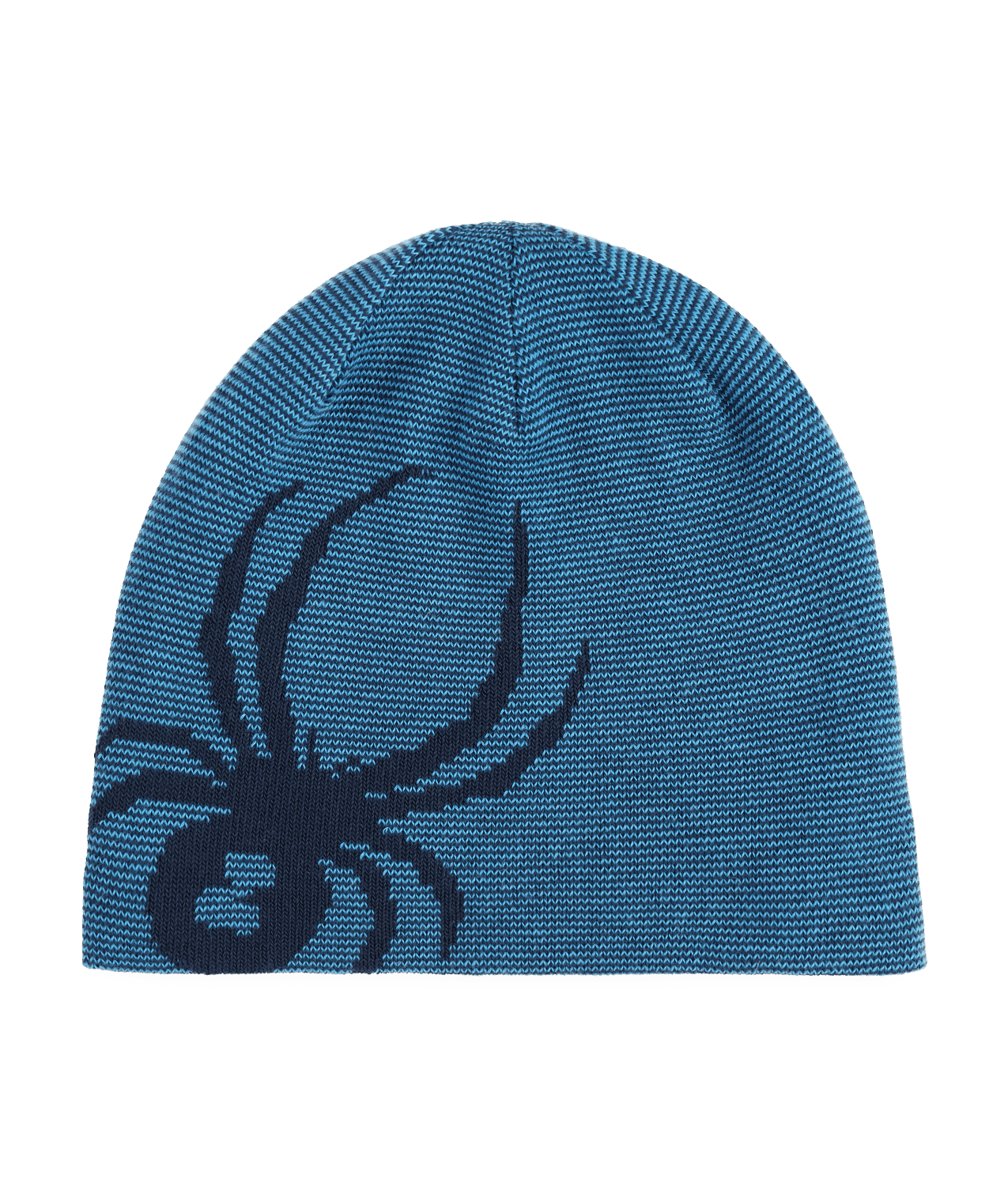 Spyder Reversible Innsbruck Hat SX SNOW