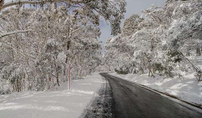 Do I Need Snow Chains For My Car For Perisher and Thredbo?