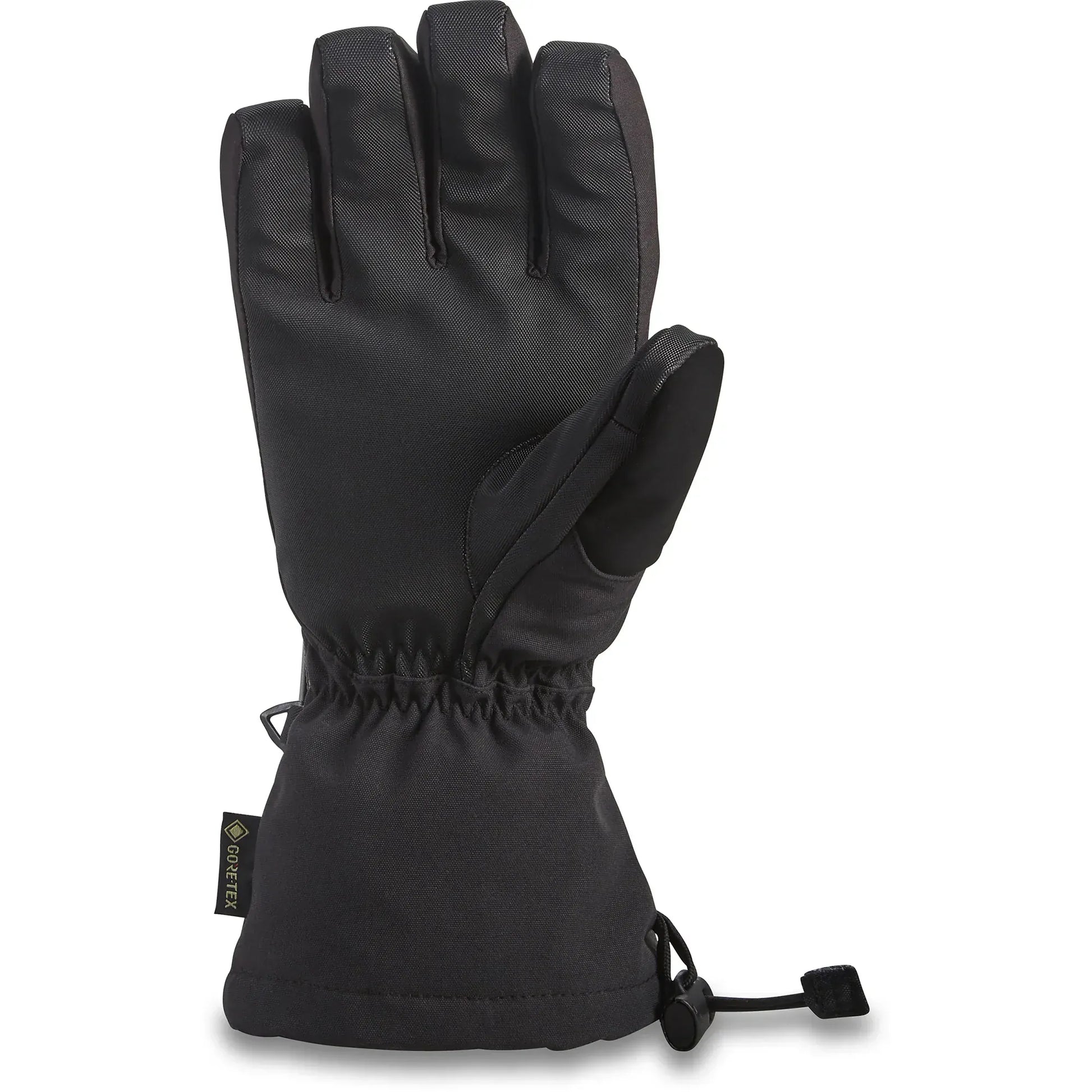DAKINE Dakine Sequoia Goretex Ladies Glove