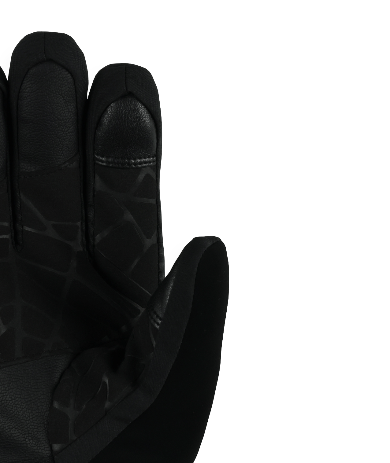 SPYDER Spyder Overweb Goretex Glove Black